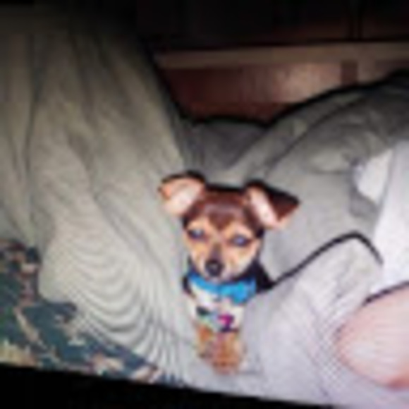 Meet your Posher, Heidi - Picture 1 of 1